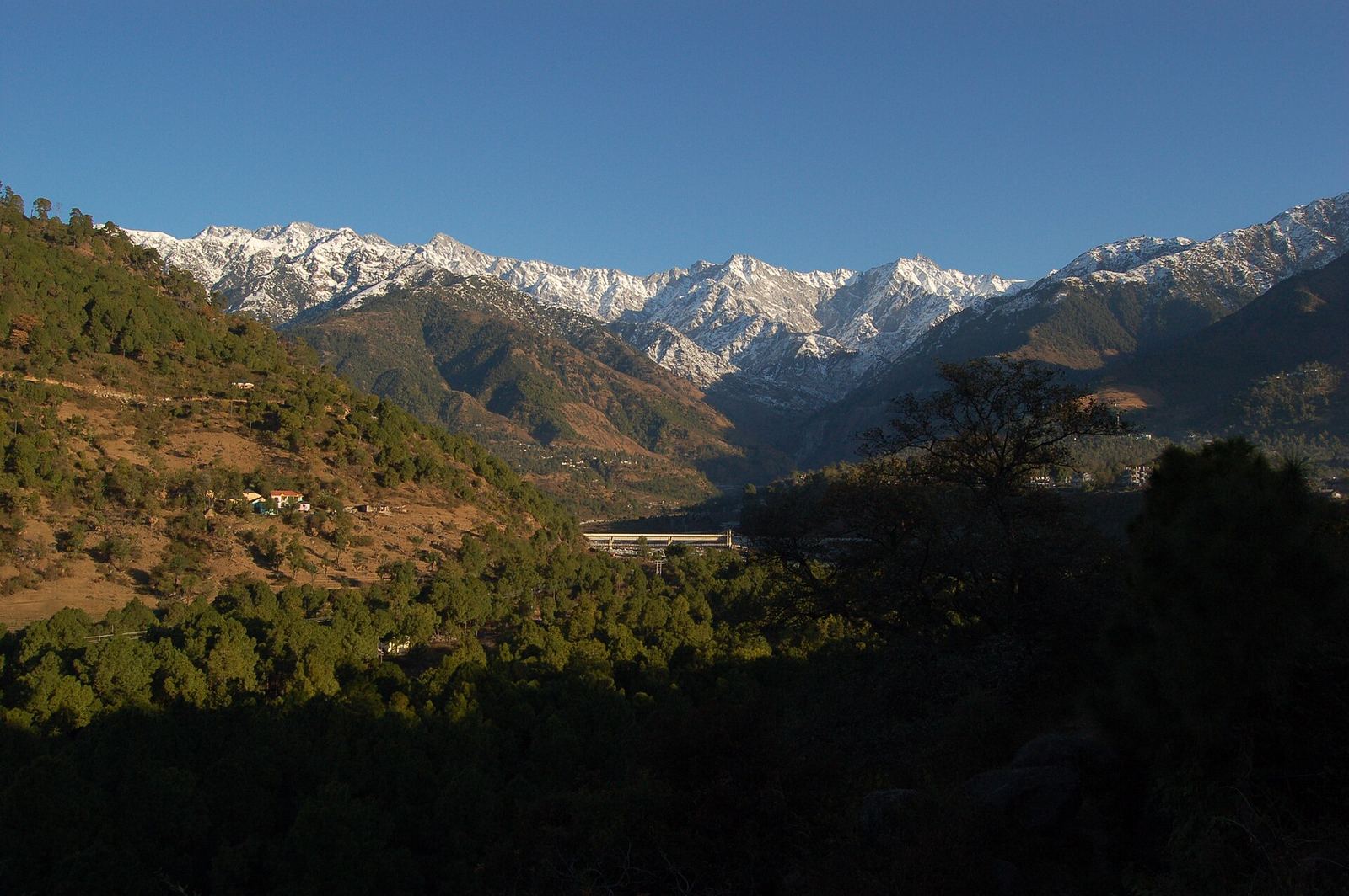 Palampur